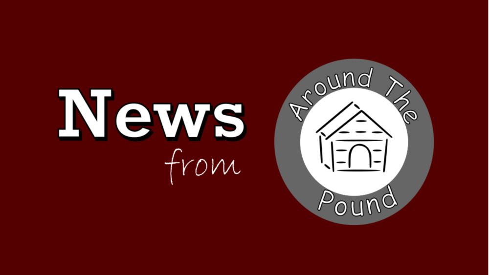 News from  Around the Pound Logo with Dog House