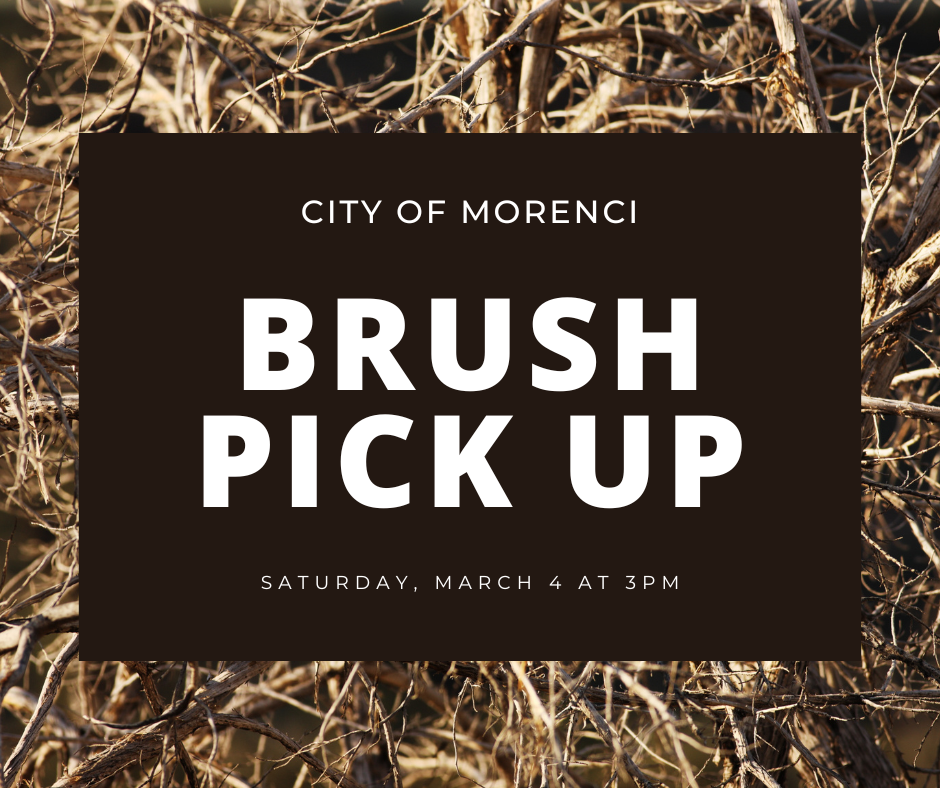 The City of Morenci, through its contractor Borck's Outdoor Services, will conduct a one-time storm damage brush pick up. Tree limbs and brush must be placed to the curb no later than Saturday, March 4th at 3:00 p.m. Branches must be no more than six inches in diameter and six feet long. City of Morenci curbside brush pick up rules and regulations apply. 