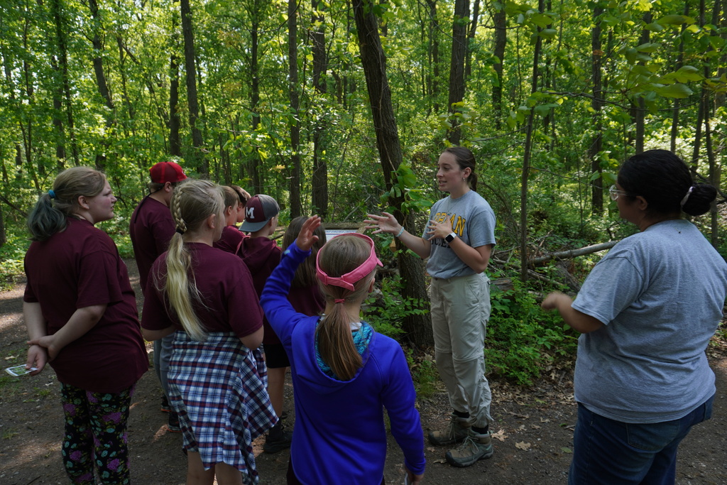 Students on a hike learning about local plants.